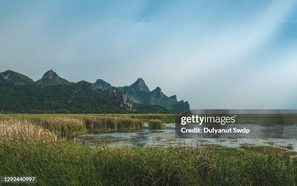 a lake at sam roi yod national park, prachuap khiri khan, thailand - casa de jardim ou parque - fotografias e filmes do acervo