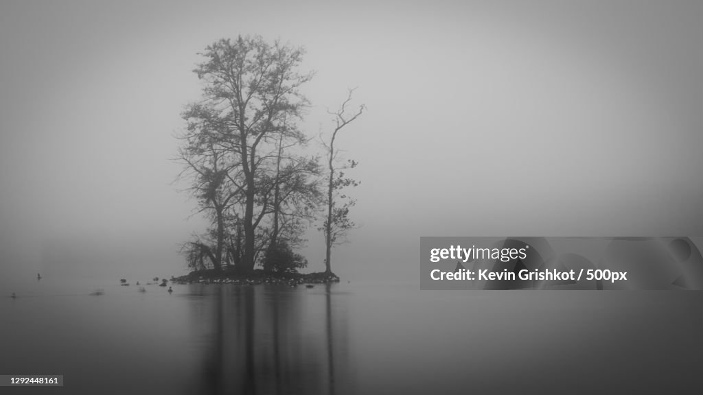 Scenic view of lake against sky during foggy weather,Loch Raven Reservoir,Maryland,United States,USA
