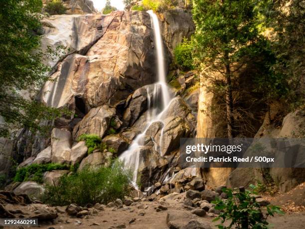 scenic view of waterfall in forest,kings canyon national park,california,united states,usa - kings canyon nationalpark stock-fotos und bilder