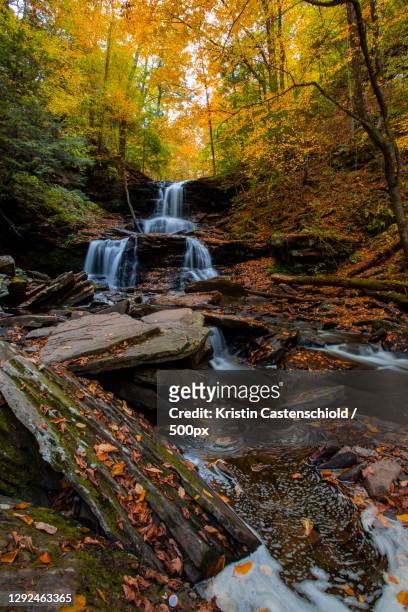 scenic view of waterfall in forest during autumn,ricketts glen state park,united states,usa - ricketts glen state park stock pictures, royalty-free photos & images