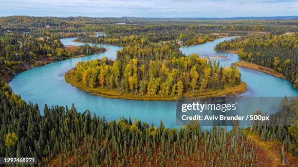 scenic view of lake amidst trees against sky,kasilof,alaska,united states,usa - kasilof alaska stock pictures, royalty-free photos & images