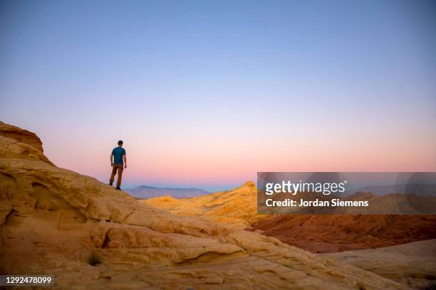 a man hiking in the red rocky desert - nevada stock-fotos und bilder