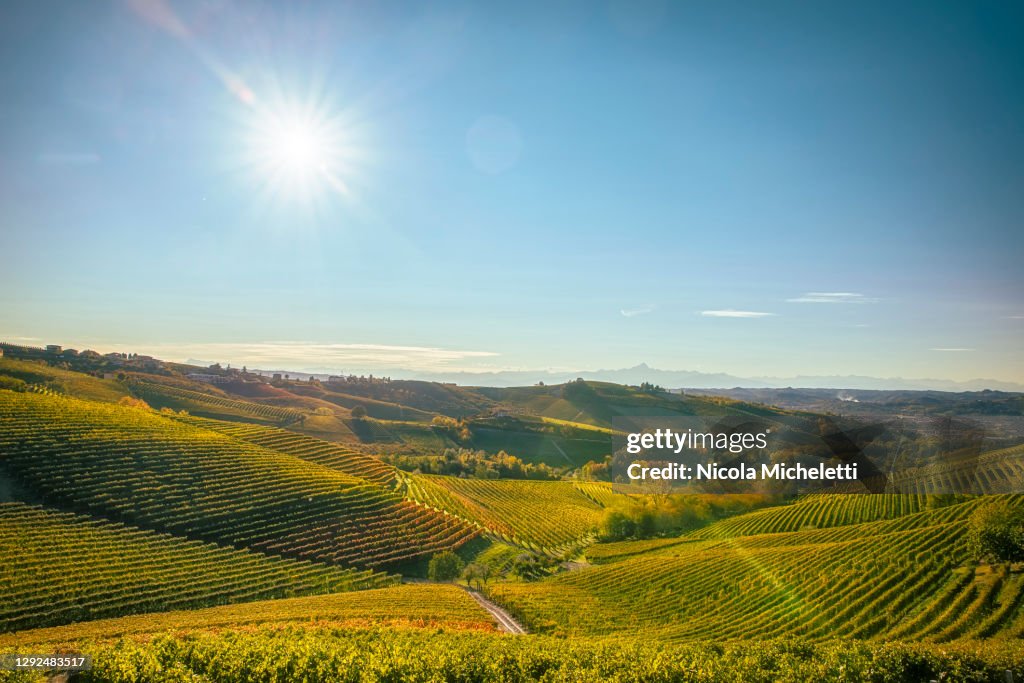Barbaresco Hills