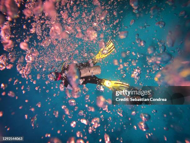 diver who removes many pink bubbles, background, red sea underwater. - sea creatures stock pictures, royalty-free photos & images