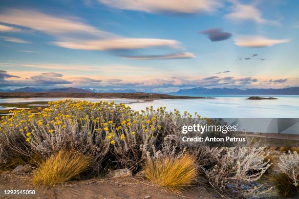 lago argentino at sunrise. el calafate, argentina, patagonia - lago argentina fotografías e imágenes de stock