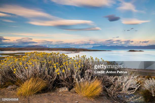 lago argentino at sunrise. el calafate, argentina, patagonia - semi arid stock pictures, royalty-free photos & images
