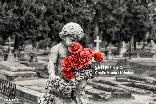 roses in the cemetery - funeral merchandise stock pictures, royalty-free photos & images
