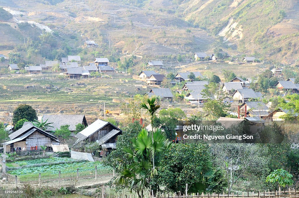 Ban Ho Sapa - Ho Village