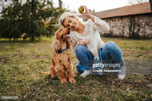 jeune femme jouant avec son crabot à l’extérieur - dog and ball photos et images de collection