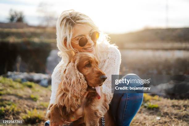 okrossbara livsobligationer - cocker spaniel bildbanksfoton och bilder