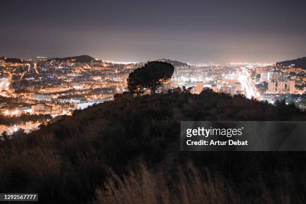 lonely tree on top of hill with the city lights on the background. - photopollution stock-fotos und bilder