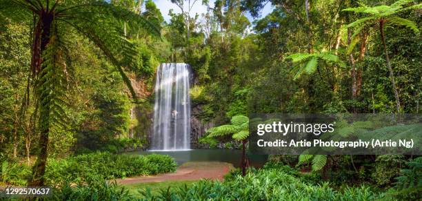 millaa millaa falls, atherton tableland, tropical far north queensland, australia - cairns stock-fotos und bilder