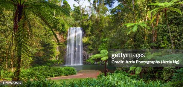 millaa millaa falls, atherton tableland, tropical far north queensland, australia - cairns australië stockfoto's en -beelden