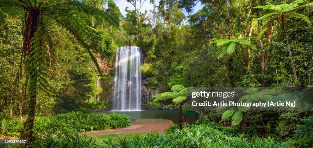 Millaa Millaa Falls, Atherton Tableland, Tropical Far North Queensland, Australia