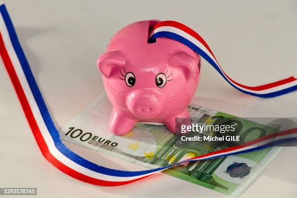 Petit cochon rose en forme de tirelire avec un billet de banque de 100 euros et un ruban aux couleurs de la France.