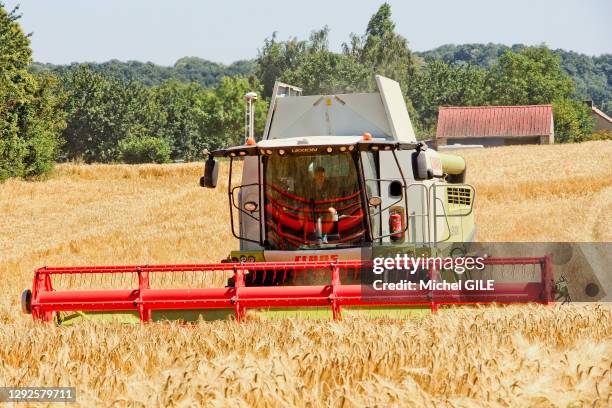 Moissonneuse-batteuse dans un champ de blé, 4 juillet 2019, Donfont-en-Champagne, Sarthe, France.