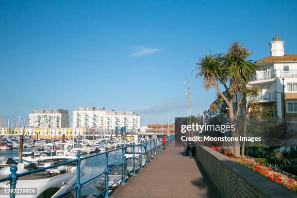 brighton marina in east sussex, england - brighton marina stock pictures, royalty-free photos & images