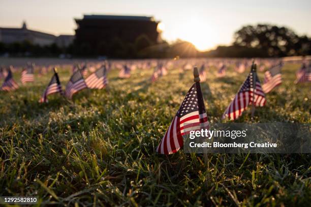 america's national flags in covid-19 tribute - washington coronavirus stock pictures, royalty-free photos & images