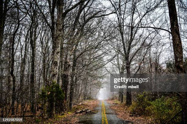 abandon road through wooded area in autumn fog in chantilly va - chantilly virginia stock pictures, royalty-free photos & images