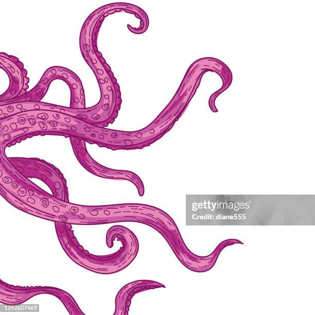 stockillustraties, clipart, cartoons en iconen met octopus tentakels - tentakel