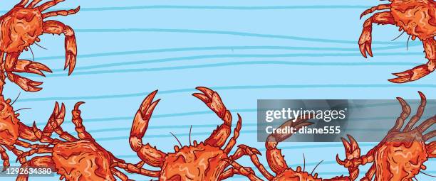 fresh seafood narrow banner for social media - crab - seafood background stock illustrations