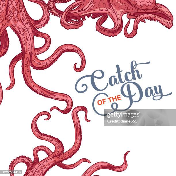 illustrations, cliparts, dessins animés et icônes de modèle de bordure de fruits de mer frais - prise de pêche