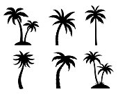 Tropical palm trees black silhouette collection. Summer vacation concept. Vector isolated on white
