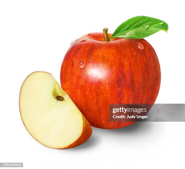 apple & wedge - gala apples stock illustrations