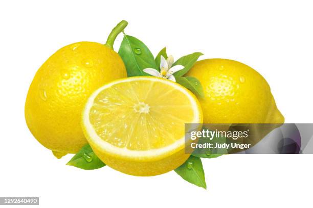 lemon medley - 3 section stock illustrations