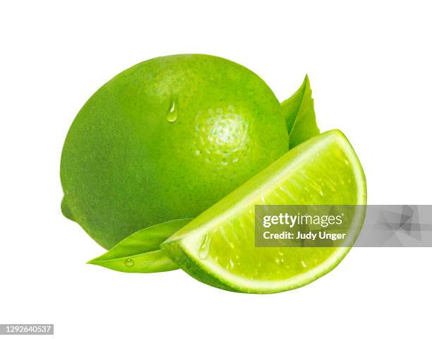 ilustrações de stock, clip art, desenhos animados e ícones de lime whole & wedge - ramo parte de uma planta