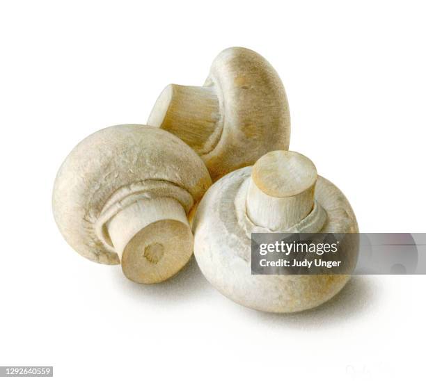 mushroom group of three - button mushrooms stock illustrations