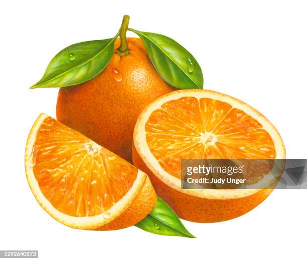 orange group juicy - orange fruit stock illustrations