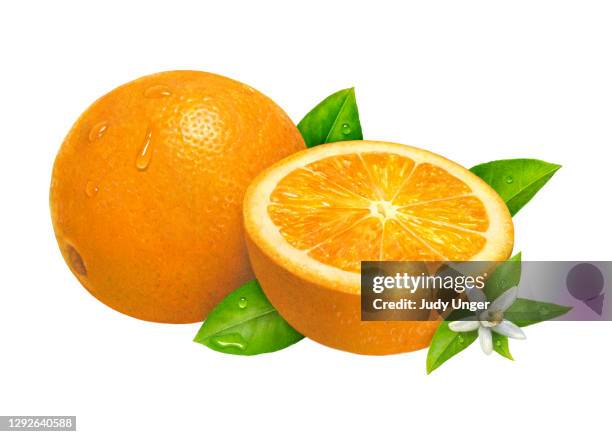 オレンジのへそと花 - ネーブルオレンジ点のイラスト素材／クリップアート素材／マンガ素材／アイコン素材