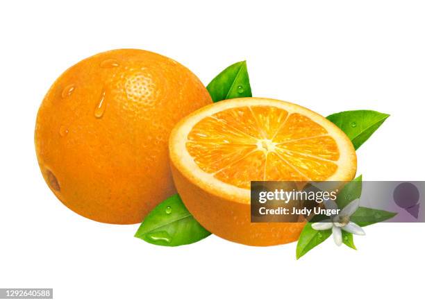 orange navel and blossom - navel orange stock illustrations