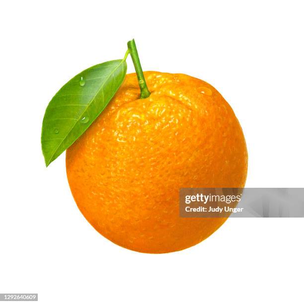 オレンジホール - ネーブルオレンジ点のイラスト素材／クリップアート素材／マンガ素材／アイコン素材