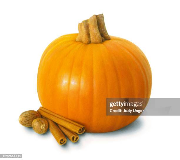 illustrazioni stock, clip art, cartoni animati e icone di tendenza di spezia di zucca - realism