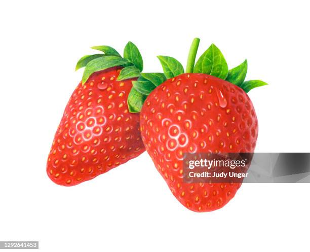 erdbeeren zwei - realismus stock-grafiken, -clipart, -cartoons und -symbole