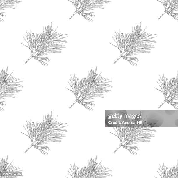 stockillustraties, clipart, cartoons en iconen met red pine branch tekening in een naadloos patroon. vector eps10-illustratie - xmas eps
