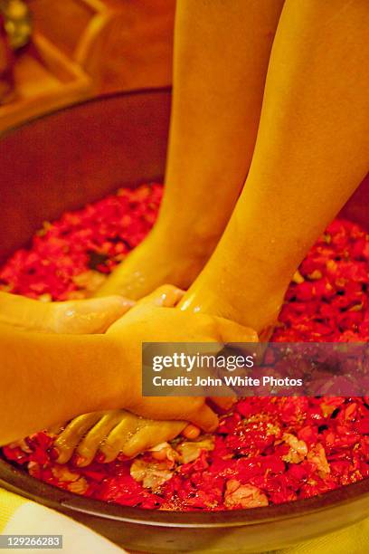 foot massage with rose petals. health spa. - white rose flower spa stock-fotos und bilder