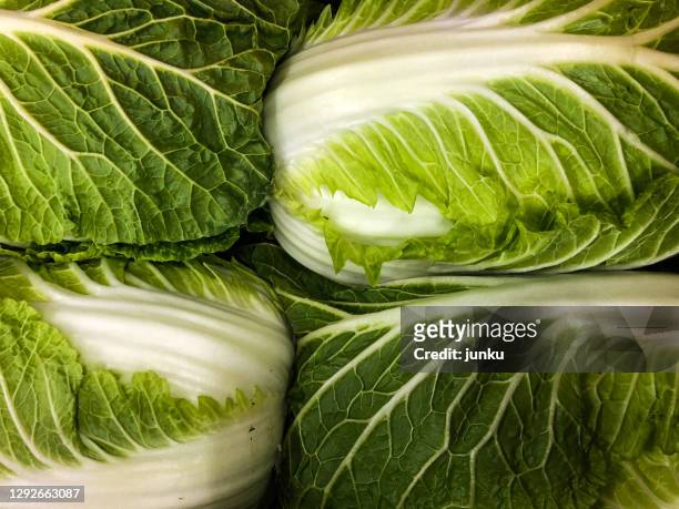 chinese cabbage - chinese cabbage stock pictures, royalty-free photos & images