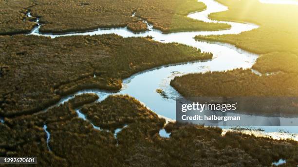 lever du soleil sur le delta de la rivière pascagoula - aérien - zone humide photos et images de collection