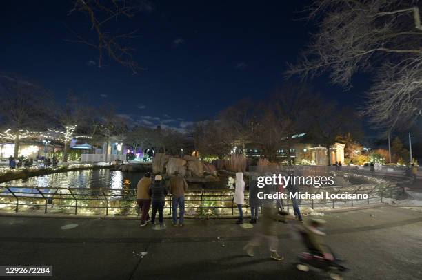 Visitors gather around the sea lion pool during Holiday Lights 2020 at the Bronx Zoo on December 22, 2020 in the Bronx borough of New York City.
