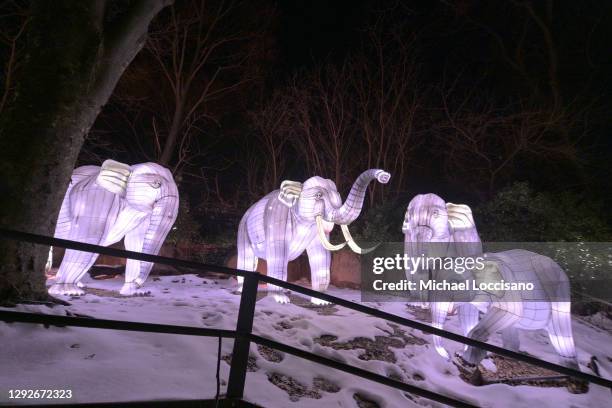 Illuminated elephants and rhinoceros stand as part of the Asian lantern section of Holiday Lights 2020 at the Bronx Zoo on December 22, 2020 in the...