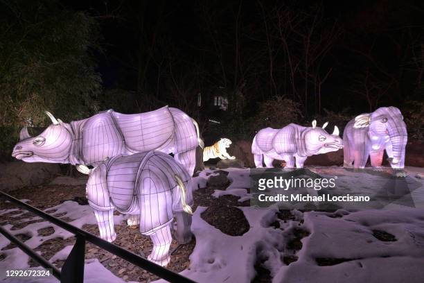 Illuminated elephants and rhinoceros stand as part of the Asian lantern section of Holiday Lights 2020 at the Bronx Zoo on December 22, 2020 in the...