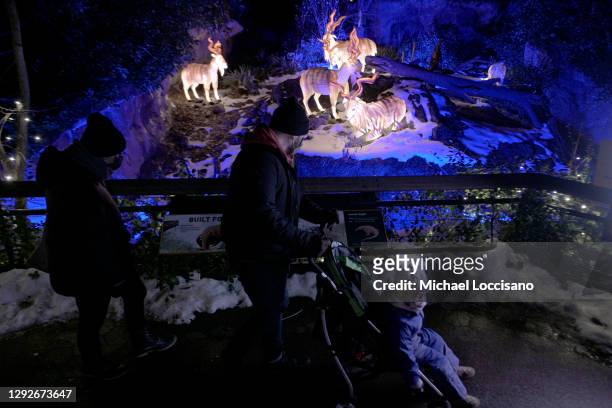 Visitors stroll through the Asian lantern section of Holiday Lights 2020 at the Bronx Zoo on December 22, 2020 in the Bronx borough of New York City.