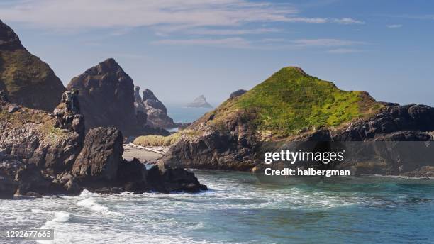 Lone Ranch Beach Lone Ranch Beach Photos and Premium High Res Pictures - Getty Images