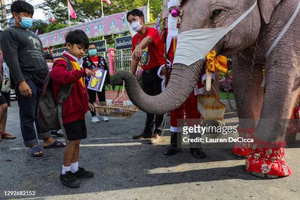 1,383 Christmas Elephant Photos and Premium High Res Pictures - Getty Images
