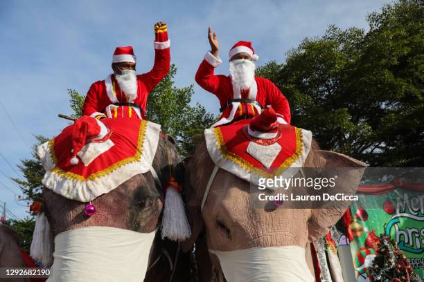 Christmas Elephant Photos and Premium High Res Pictures - Getty Images