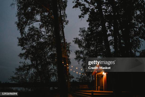 illuminated lights hanging on tree by cottage seen during sunset - string light stock pictures, royalty-free photos & images