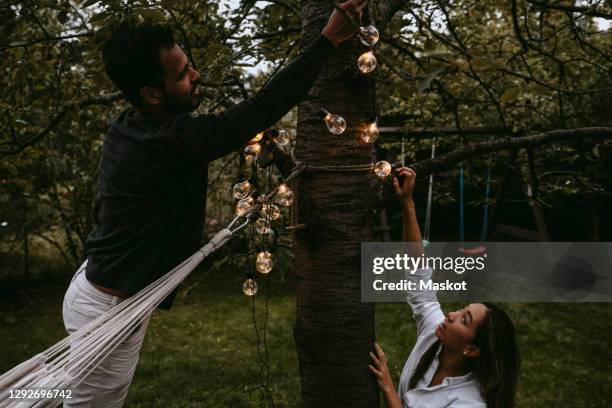 male and female friends hanging lighting equipment in backyard during dinner party - garden lighting stock pictures, royalty-free photos & images